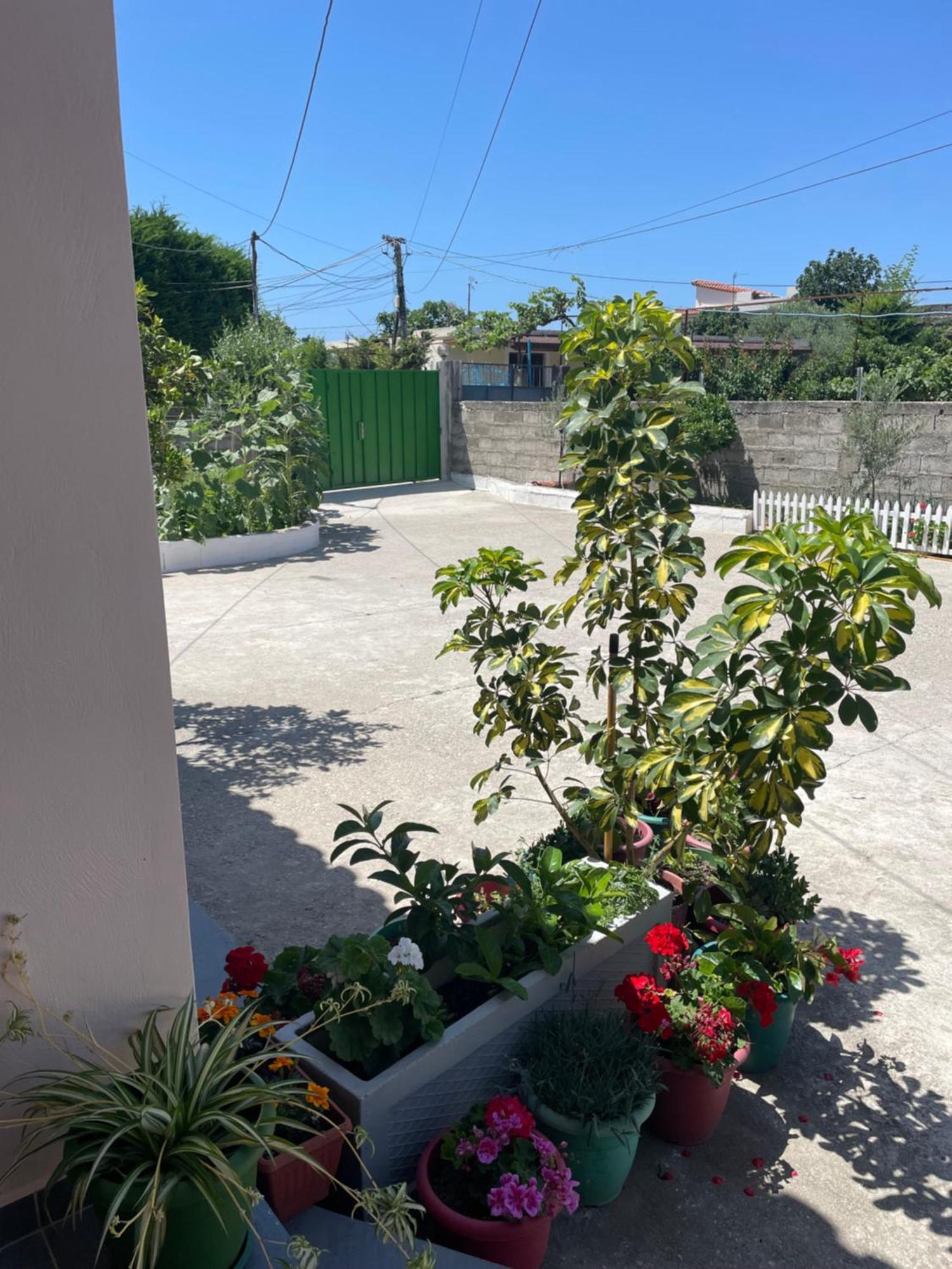 Rental Houses Dukaj Vlorë エクステリア 写真
